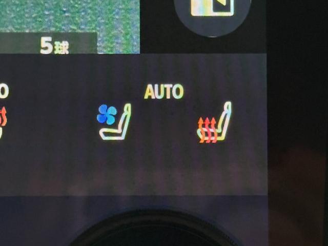 アルファードハイブリッド Z 14型ナビ/モデリスタエアロ/パワーバックドア/AC100V/レーダークルーズコントロール/全周囲カメラ/BSM/ワイヤレス充電/両側電動ドア/シートヒーター/シートクーラー/ステアリングヒーター(49枚目)