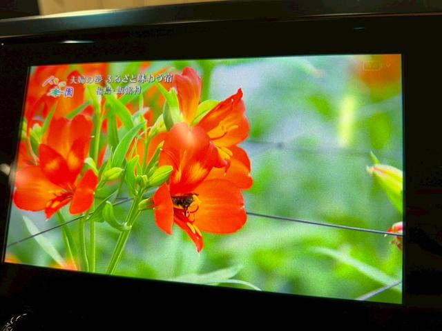 ヴェルファイア 3.5ZA Gエディション 9型ナビ/サンルーフ/フリップダウンモニター/パーキングアシスト/ステアリングヒーター/JBLサウンドシステム/パワーバックドア/シートメモリー/オートハイビーム/両側電動スライドドア/ETC(46枚目)