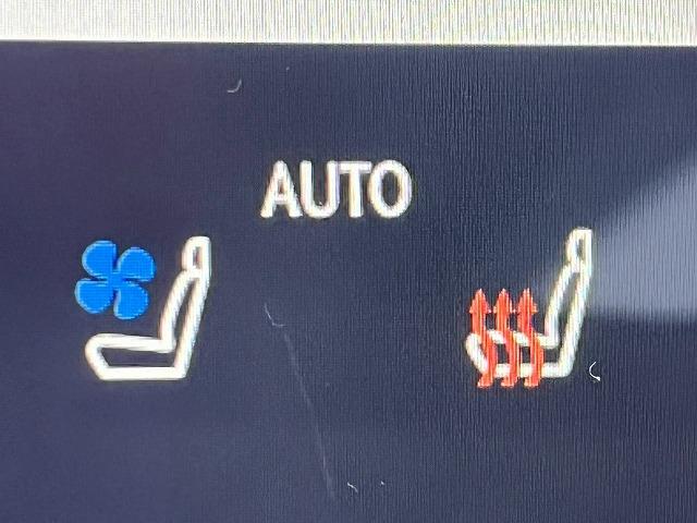 NX NX350h Fスポーツ ワンオーナー/14型ナビ/全周囲カメラ/ムーンルーフ/マークレビンソン/パワーバックドア/シートヒーター/シートクーラー/ステアリングヒーター/ブラインドスポットモニター/ヘッドアップディスプレイ(65枚目)