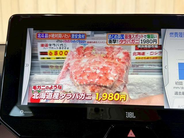 ハリアーハイブリッド Ｚ　レザーパッケージ　純正１２型ナビ／全周囲カメラ／デジタルインナーミラー／ＪＢＬスピーカー／ブラインドスポットモニター／シートメモリー／シートヒーター／シートクーラー／ステアリングヒーター／電動リアゲート／ＥＴＣ（61枚目）