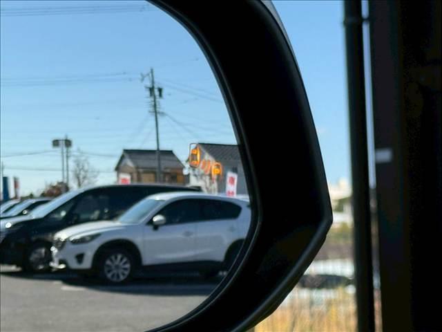 アルファード 2.5S Cパッケージ 純正ナビ/サンルーフ/フリップダウンモニター/デジタルインナーミラー/パワーバックドア/シートクーラー/シートヒーター/ステアリングヒーター/BSM/レーダークルーズコントロール/CD/DVD(11枚目)