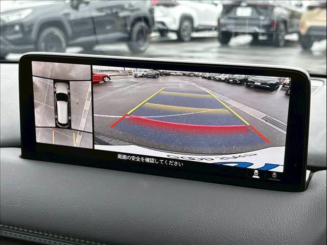 �y�A���E���h�r���[���j�^�[�z�@�N���}����󂩂猩���낵�Ă��邩�̂悤�ɁA�����I�Ɏ��͂̏󋵂�c���ł��܂��B