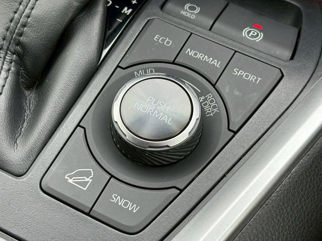 ＲＡＶ４ アドベンチャー　純正９型ナビ／デルタフォース１６インチ／リフトアップ／ＴＲＤルーフラック／ステアリングヒーター／シートクーラー／シートヒーター／レーダークルーズコントロール／バックカメラ／パワーシート／ＬＥＤ／ＥＴＣ（52枚目）