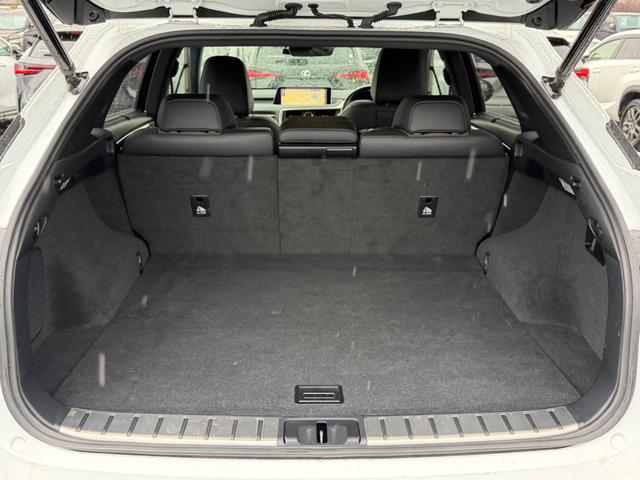 RX RX200t Fスポーツ 純正ナビ/サンルーフ/全周囲カメラ/ブラックレザー/レーダークルーズコントロール/ブラインドスポットモニター/シートヒーター/シートクーラー/AC100V/パワーバックドア/ステアリングヒーター(35枚目)