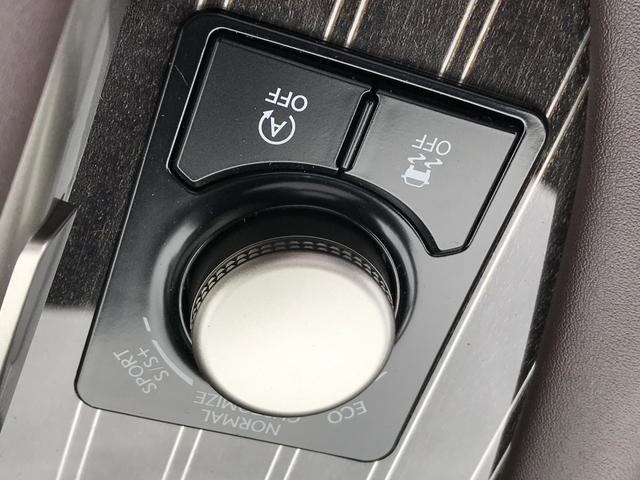 RX300 バージョンL 300バージョンL 現行 AC100V パノラマルーフ 衝突軽減ブレーキ 本革 レーダークルーズコントロール シートヒーター シートクーラー パワーバックドア アラウンドビューモニター(62枚目)
