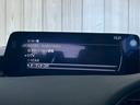 １５Ｓ　レトロスポーツエディション　１０型ナビ／全周囲カメラ／ブラウンハーフレザー／シートヒーター／ステアリングヒーター／ＢＯＳＥサウンドシステム／ＢＳＭ／クリアランスソナー／レーダークルーズコントロール／ワイヤレス充電／ＥＴＣ（49枚目）