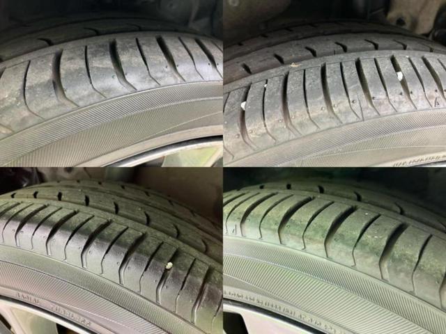 �u���̎Ԃ̎ʐ^�������ƌ������v�u��Ԃ��C�ɂȂ�v�u���̑����͂��Ă���H�v�ǂ�ȏ����ȋ^��ł����C�y�ɂ��₢���킹���������I