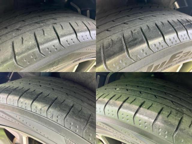 �u���̎Ԃ̎ʐ^�������ƌ������v�u��Ԃ��C�ɂȂ�v�u���̑����͂��Ă���H�v�ǂ�ȏ����ȋ^��ł����C�y�ɂ��₢���킹���������I