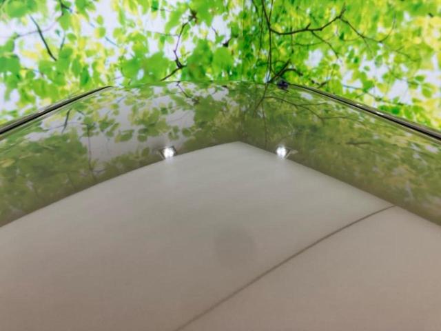 ウェイク X SA 新品タイヤ/保証書/社外 SDナビ/スマートアシスト(トヨタ・ダイハツ)/電動スライドドア/ドライブレコーダー 社外/ヘッドランプ HID/EBD付ABS/フルセグTV/エアバッグ 運転席 ドラレコ(48枚目)