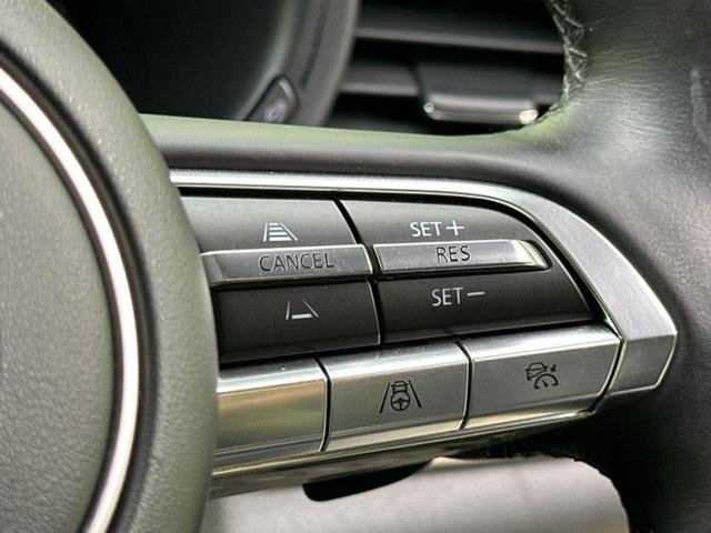 ＣＸ－３０ ＸＤ　Ｌパッケージ　新品タイヤ／ＢＯＳＥ／保証書／純正　８インチ　ＳＤナビ／アイアクティブセンス（マツダ）／シートヒーター　前席／全方位モニター／車線逸脱防止支援システム／シート　合皮／電動バックドア　全周囲カメラ（32枚目）