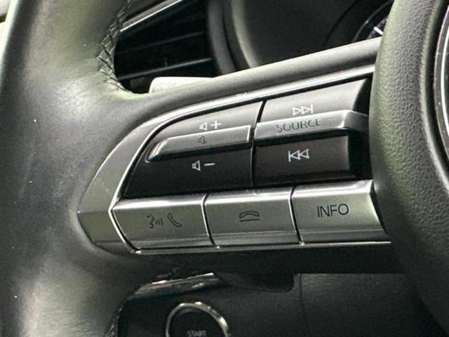 ＣＸ－３０ ＸＤ　Ｌパッケージ　新品タイヤ／ＢＯＳＥ／保証書／純正　８インチ　ＳＤナビ／アイアクティブセンス（マツダ）／シートヒーター　前席／全方位モニター／車線逸脱防止支援システム／シート　合皮／電動バックドア　全周囲カメラ（33枚目）