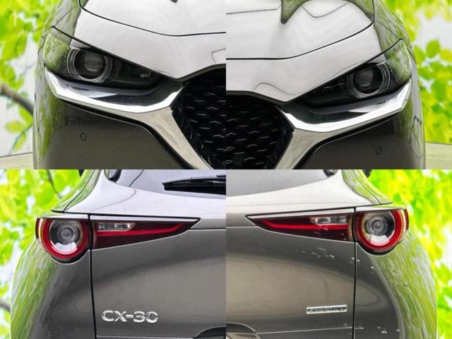 ＣＸ－３０ ＸＤ　Ｌパッケージ　新品タイヤ／ＢＯＳＥ／保証書／純正　８インチ　ＳＤナビ／アイアクティブセンス（マツダ）／シートヒーター　前席／全方位モニター／車線逸脱防止支援システム／シート　合皮／電動バックドア　全周囲カメラ（53枚目）