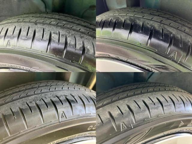 �u���̎Ԃ̎ʐ^�������ƌ������v�u��Ԃ��C�ɂȂ�v�u���̑����͂��Ă���H�v�ǂ�ȏ����ȋ^��ł����C�y�ɂ��₢���킹���������I