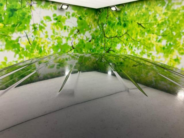 セレナ ハイウェイスターＶセレクション　新品タイヤ／保証書／純正　９インチ　ＳＤナビ／フリップダウンモニター　純正　１１インチ／インテリジェントルームミラー／エマージェンシーブレーキ／両側電動スライドドア／アラウンドビューモニター　禁煙車（52枚目）