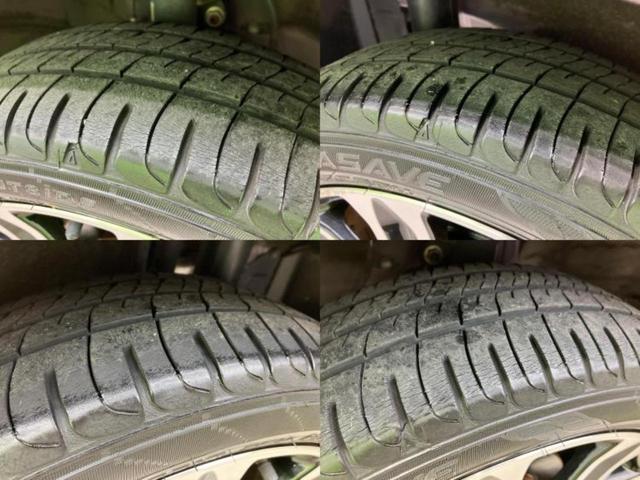 �u���̎Ԃ̎ʐ^�������ƌ������v�u��Ԃ��C�ɂȂ�v�u���̑����͂��Ă���H�v�ǂ�ȏ����ȋ^��ł����C�y�ɂ��₢���킹���������I