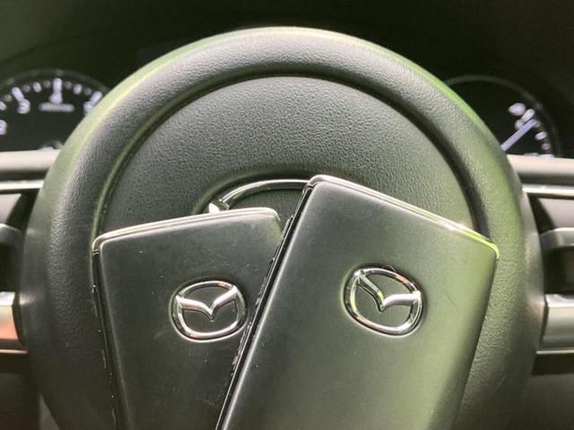 ＣＸ－３０ ２０Ｓブラックトーンエディション　保証書／純正　ＳＤナビ／アイアクティブセンス（マツダ）／車線逸脱防止支援システム／電動バックドア／ヘッドランプ　ＬＥＤ／ＥＴＣ／ＥＢＤ付ＡＢＳ／横滑り防止装置／クルーズコントロール／バックモニター（35枚目）