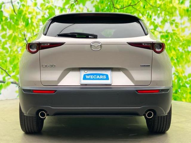 ＣＸ－３０ ２０Ｓブラックトーンエディション　保証書／純正　ＳＤナビ／アイアクティブセンス（マツダ）／車線逸脱防止支援システム／電動バックドア／ヘッドランプ　ＬＥＤ／ＥＴＣ／ＥＢＤ付ＡＢＳ／横滑り防止装置／クルーズコントロール／バックモニター（45枚目）