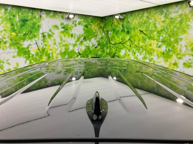 アルファード S Cパッケージ 新品タイヤ/サンルーフ/モデリスタエアロ/保証書/ディスプレイオーディオ9インチ/フリップダウンモニター 純正 12.1インチ/トヨタセーフティセンス/両側電動スライドドア 革シート フルエアロ TV(51枚目)