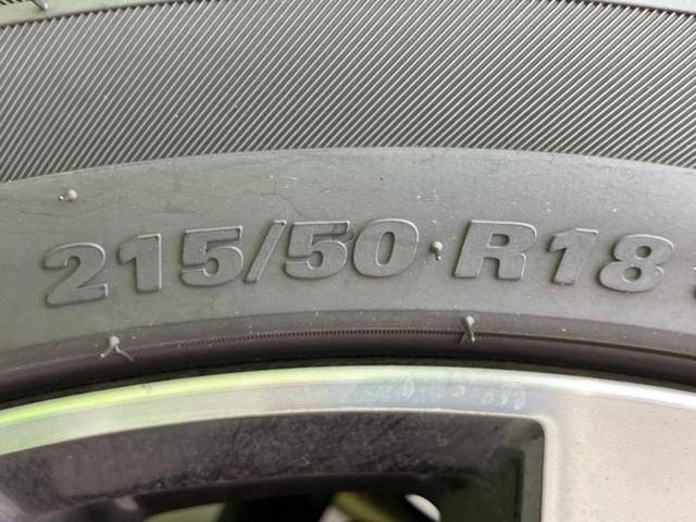 �u���̎Ԃ̎ʐ^�������ƌ������v�u��Ԃ��C�ɂȂ�v�u���̑����͂��Ă���H�v�ǂ�ȏ����ȋ^��ł����C�y�ɂ��₢���킹���������I