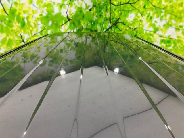 ハスラー ハイブリッドＸ　保証書／純正　９インチ　ＳＤナビ／セーフティサポート（スズキ）／シートヒーター　前席／全方位モニター用カメラ／車線逸脱防止支援システム／ドライブレコーダー　前後／ヘッドランプ　ＬＥＤ　全周囲カメラ（47枚目）