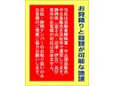 Ｆ　盗難防止キーレス　安全ボディ　エアバッグ　ＡＢＳ付　マニュアルエアコン　デュアルエアバッグ　パワーウインドウ　パワステ　助手席エアバッグ　運転席エアバッグ　パワーステアリング　エアコン　ＡＢＳ（17枚目）