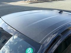 �ǣҥ�ꥹ �ңڡ��ϥ��ѥե����ޥ󥹡����£�ǯ���������ǥ롡��®�ޥ˥奢��� 0602421A30251009W002 3