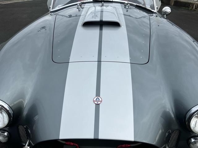 フォードその他 スーパーフォーマンス コブラCOBRA BOSS 4点式シートベルト シートヒーター(17枚目)