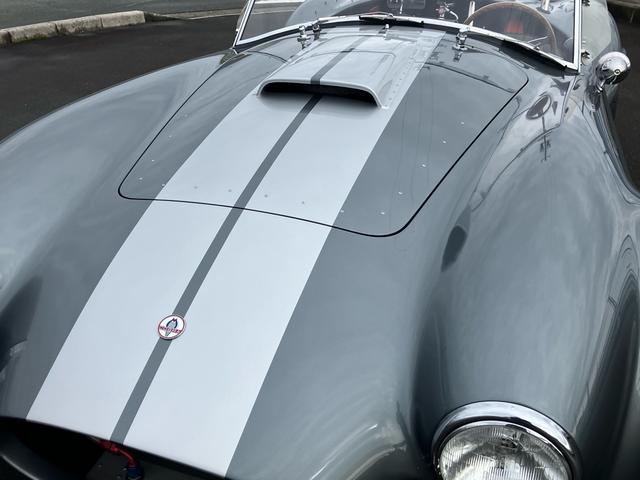 フォードその他 スーパーフォーマンス コブラCOBRA BOSS 4点式シートベルト シートヒーター(18枚目)