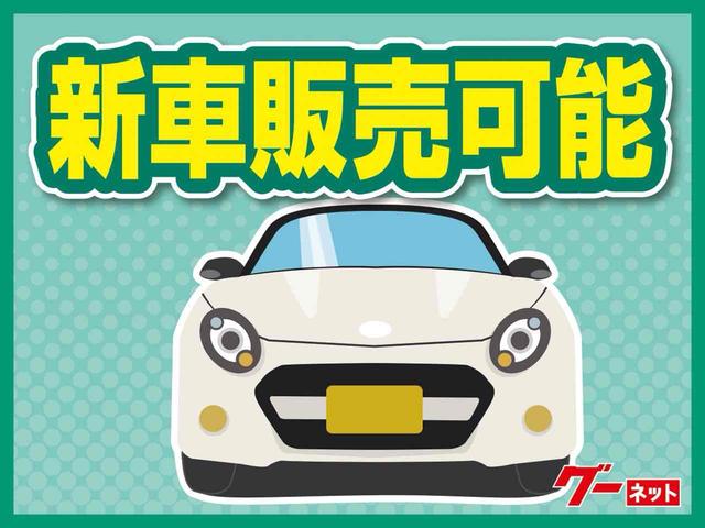 フェアレディＺ ロードスター　オープンカー　ＥＴＣ　バックカメラ　ナビ　ＨＩＤ　ＡＴ　キーレスエントリー　電動格納ミラー　アルミホイール　盗難防止システム　衝突安全ボディ　ＡＢＳ　Ｂｌｕｅｔｏｏｔｈ　エアコン　パワーステアリング（49枚目）
