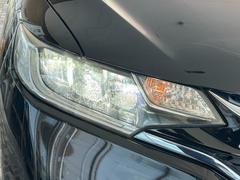 ǥ㡼إåɥ饤ܤǤä뤯Ȥ餷ƤΤǡԤԴƻǤ¿Ǥ 4