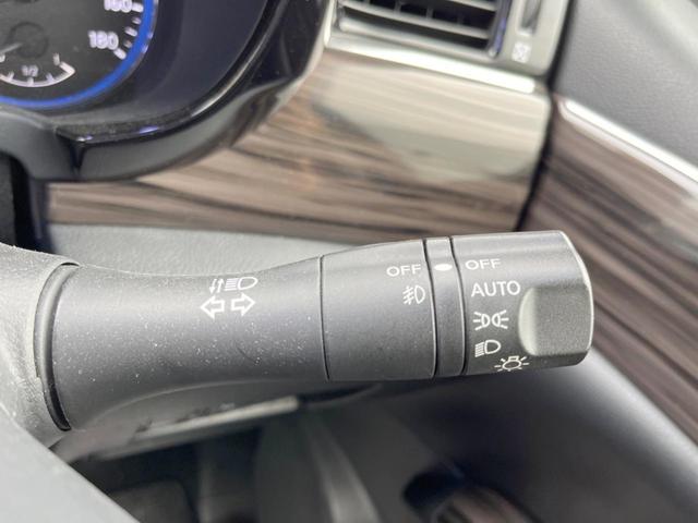 エルグランド 250ハイウェイスターS 禁煙 後席モニター 両側電動スライド 純正SDナビ バックカメラ ETC Bluetooth フルセグ クルーズコントロール デュアルエアコン リアオートエアコン オートライト 純正アルミ(29枚目)