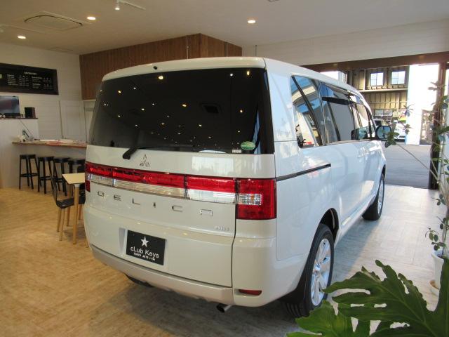 D パワーパッケージ 4WD 両側Pスライド SDナビETC(9枚目)