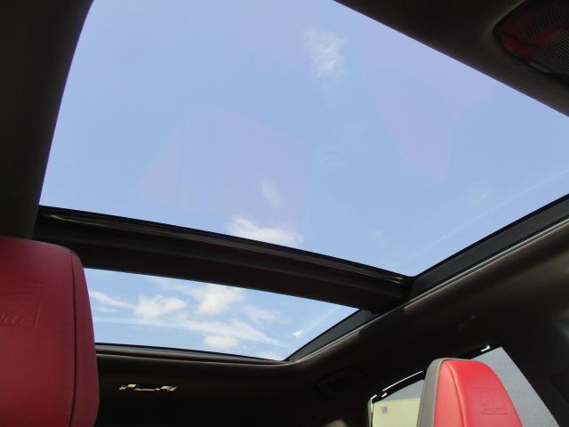 ＲＸ ＲＸ３５０　Ｆスポーツ　１オーナー　マークレビンソン　ナビ　全方位カメラ　ＤＴＶ　ＢＴ　パノラマサンルーフ　ハーフレザー　ベンチレーションシート　ヒーター　三眼ＬＥＤライト　オレンジキャリパー　純正２１ＡＷ　ＨＵＤ　ＡＣＣ（46枚目）