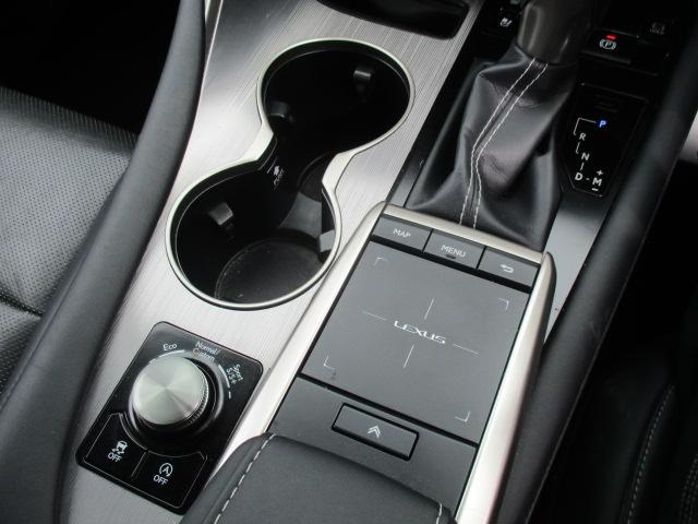 RX RX300 Fスポーツ 後期 4WD ナビ 全方位カメラ DTV BT 革エアシート シートヒーター 三眼LEDライト 純正20AW ヘッドアップディスプレイ ステアリングヒーター パワーバックドア パドルシフト ドラレコ(41枚目)
