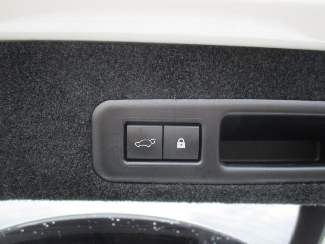 RX RX300 Fスポーツ 後期 4WD ナビ 全方位カメラ DTV BT 革エアシート シートヒーター 三眼LEDライト 純正20AW ヘッドアップディスプレイ ステアリングヒーター パワーバックドア パドルシフト ドラレコ(63枚目)