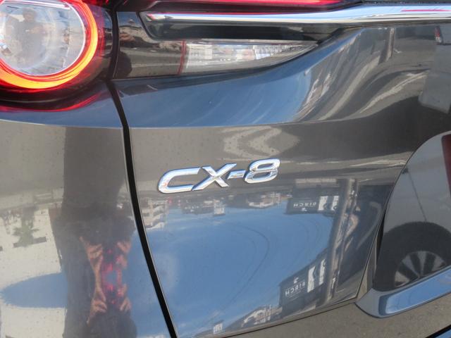 ＣＸ－８ ＸＤ　Ｌパッケージ　メーカーナビ／クルコン／ＢＴ・ＤＶＤ・地デジ／ＢＯＳＥサウンド／アラウンドビュー／黒革シート／パワーシート／シート・ステアヒーター／ドラレコ／ＥＴＣ／後席サンシェード／純正アルミ／ソナー／レーンキープ（12枚目）