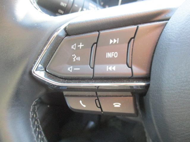 ＣＸ－８ ＸＤ　Ｌパッケージ　１オーナー　ナビ　全方位カメラ　ＤＴＶ　ＢＴ　ＤＶＤ再生　革シートヒーター　ＬＥＤライト　６人乗り　後席シートヒーター　ヘッドアップディスプレイ　衝突軽減ブレーキ　レーダークルーズ　ＥＴＣ　ドラレコ（36枚目）