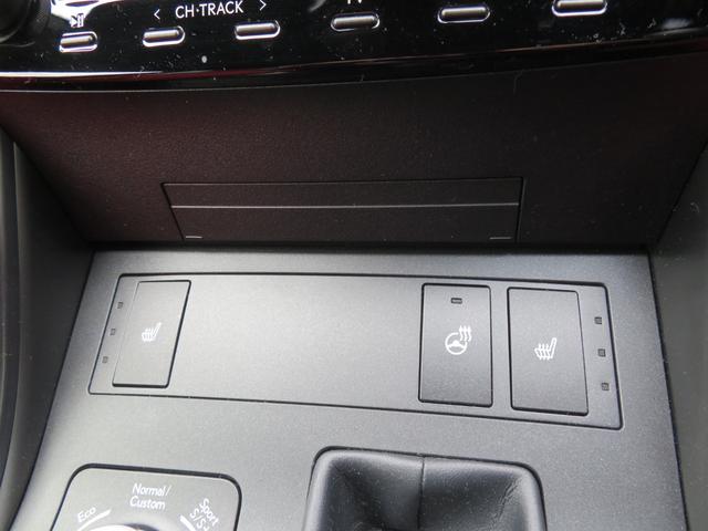 ＩＳ ＩＳ３００　Ｆスポーツ　純正ナビ・ＴＶ・全周囲カメラ・オレンジキャリパー・１９ＡＷ・赤革シート・シートヒーター・ＬＥＤライト・ステアリングヒーター・レーダークルーズ・コーナーセンサー・レクサスセーフティシステム・ＢＳＭ（34枚目）