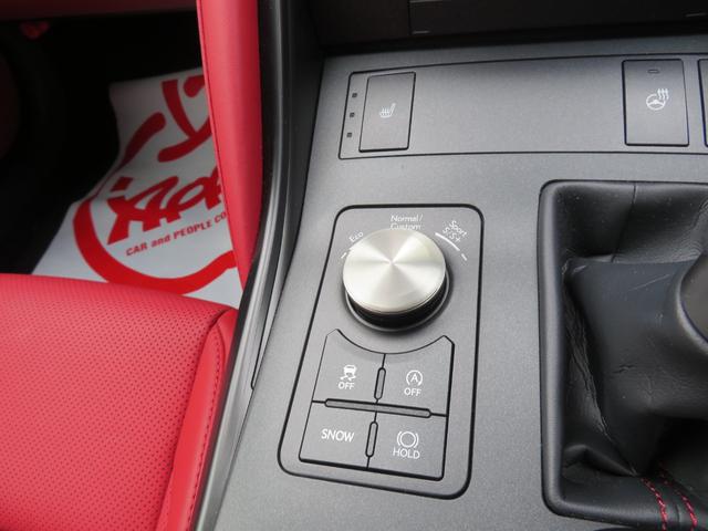 ＩＳ ＩＳ３００　Ｆスポーツ　純正ナビ・ＴＶ・全周囲カメラ・オレンジキャリパー・１９ＡＷ・赤革シート・シートヒーター・ＬＥＤライト・ステアリングヒーター・レーダークルーズ・コーナーセンサー・レクサスセーフティシステム・ＢＳＭ（35枚目）