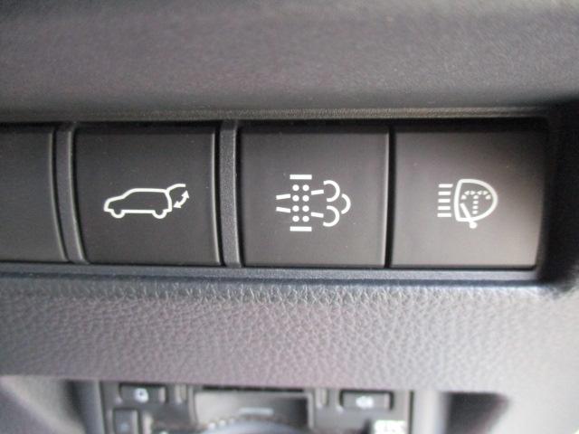 TOYOTA LAND CRUISER 250 ZX