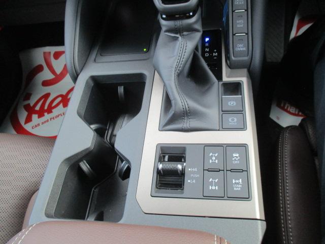 TOYOTA LAND CRUISER 250 ZX