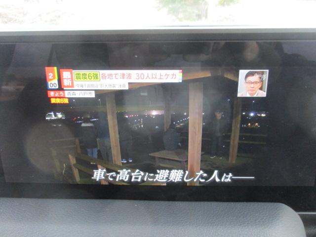 TOYOTA LAND CRUISER 250 ZX