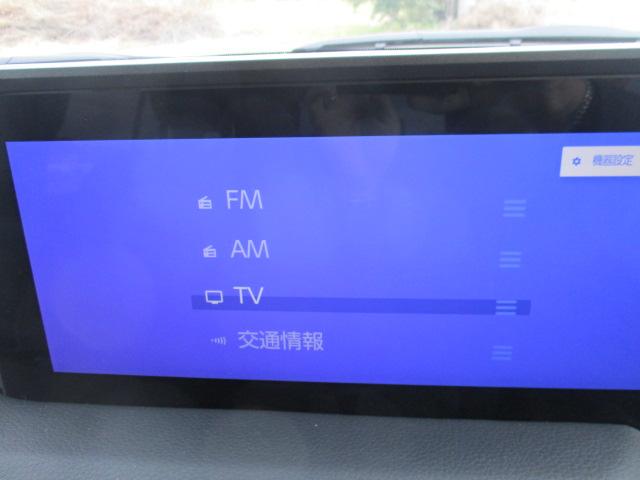 TOYOTA LAND CRUISER 250 ZX