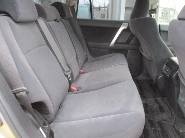 ランドクルーザープラド ＴＸ　１オーナー　純正９型ナビ　Ｂカメラ　ＤＴＶ　ＢＴ　ＬＥＤライト　セーフティセンス　レーダークルーズ　ＲＡＹＳ１８インチＡＷ　ウッドコンビハンドル　ドラレコ　ＥＴＣ　ルーフレール（17枚目）