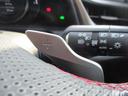 ＥＳ３００ｈ　Ｆスポーツ　ナビ　Ｂカメラ　ＤＴＶ　ＢＴ　サンルーフ　三眼ＬＥＤライト　赤革エアシート　シートヒーター　パドルシフト　セーフティセンス　レーダークルーズ　純正１９ＡＷ　メモリー付Ｐシート　ステアヒーター　ドラレコ（38枚目）