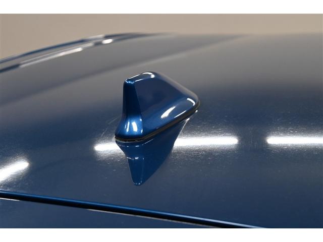 ��͓����ɗD�ꂽ�A�V���[�N�A���e�i�����I