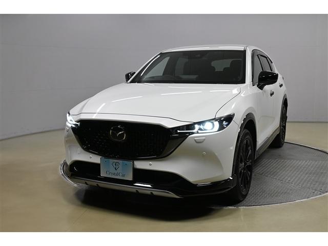 �ƂĂ����邢��Ԃ����S�̃w�b�h���C�g�ł��B�����Ńn�C�E���[�؂肩����I�[�g�}�`�b�N�n�C�r�[���V�X�e�����ځI