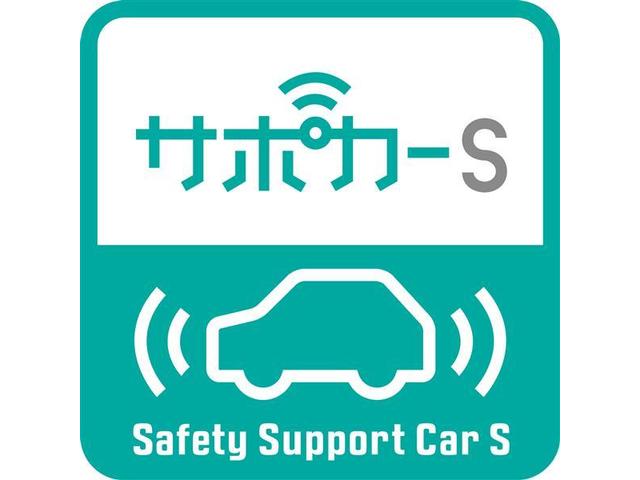 シルク Gパッケージ SAII(2枚目)