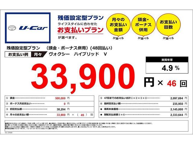 ハイブリッドV(2枚目)