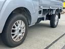 TOYOTA PIXIS TRUCK
